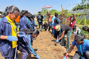 Gardening for a school kitchen